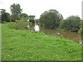 River Derwent, Stamford Bridge