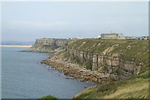SY6769 : Cliffs above Wallsend Cove by Guy Wareham