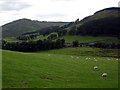 A valley of peace in Roxburghshire