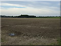 Farmland, Waddingham Hayes