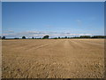 Harvested field on Kelfield Moor