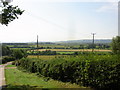 Wychavon Way below Highclere