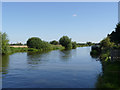 River Trent near Farndon 