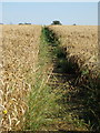 MK Boundary Walk towards Wharley End