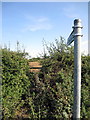 Path to Bayley Gate Farm