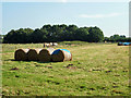 Fields, Horton Park Farm