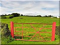 Red gate, Tullycorker