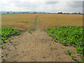 Pathway from North Hykeham playing field