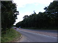 TM2241 : A1156 Felixstowe Road by Geographer