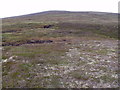 NN8586 : Ridge rising from Clais Bheag towards Carn an Fhidleir Lorgaidh above Glen Feshie, Aviemore by ian shiell