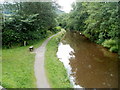 Canal south of bridge 145, Talybont-on-Usk