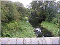 Oak Lane Bridge View