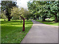 ST1777 : Cyclepath Signpost, Bute Park by David Dixon