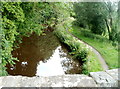 A view NW from canal bridge 147 near Lower Cross Oak