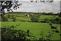 Valley near Umborne