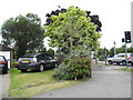 Front garden on the corner of Charlton Lane