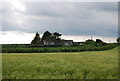 Higher Whitestone across a barley field