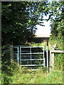 Gate on the path to the woods