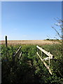 Footbridge on the path across the fields