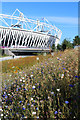 TQ3783 : Meadow by the Olympic Stadium by Oast House Archive