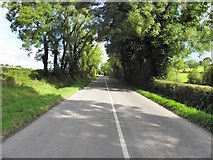 H7126 : Road at Shanmullagh by Kenneth  Allen