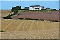 Field patterns at Highlaws farm