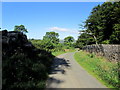 Lane by the Perimeter of Swinton Park