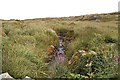 L7940 : Stream - Lehanagh South Townland by Mac McCarron