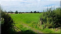 Footpath into South Cheshire pastures