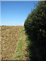 Path to Brogborough Farm