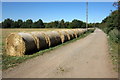 Bales by the track to Brogborough