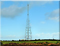 Maddybenny More mast near Portrush