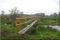 TQ0315 : Footbridge, Wey South Path by N Chadwick