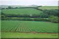 Farmland near East Charleton