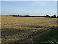 TF2004 : Farmland off Guntons Road by JThomas