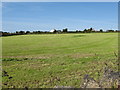 A harvested hay field alongside the Majors Hill road