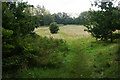 Path in Kersal Dale