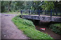 Traditional debris in Prestwich Clough