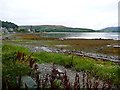 Low tide at Ardbeg