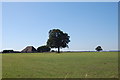 Converted barn and tree