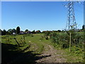 The backs of houses on the A460