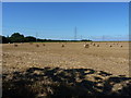 Baled straw and pylons