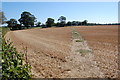 Footpath AT218 off Plurenden Road