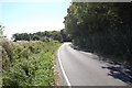 Lane along Harlakenden Wood