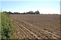 Harvested Field off Coldblow Lane