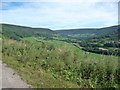 In the Llanthony Valley