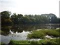 The pond at Salt Coats