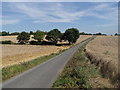 Lane from Beesthorpe Hall