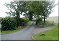 Entrance lane to Cefn Meri B&B near Llanfrynach