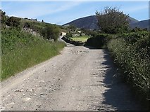 J3422 : The Carrick Little Track above the Head Road by Eric Jones